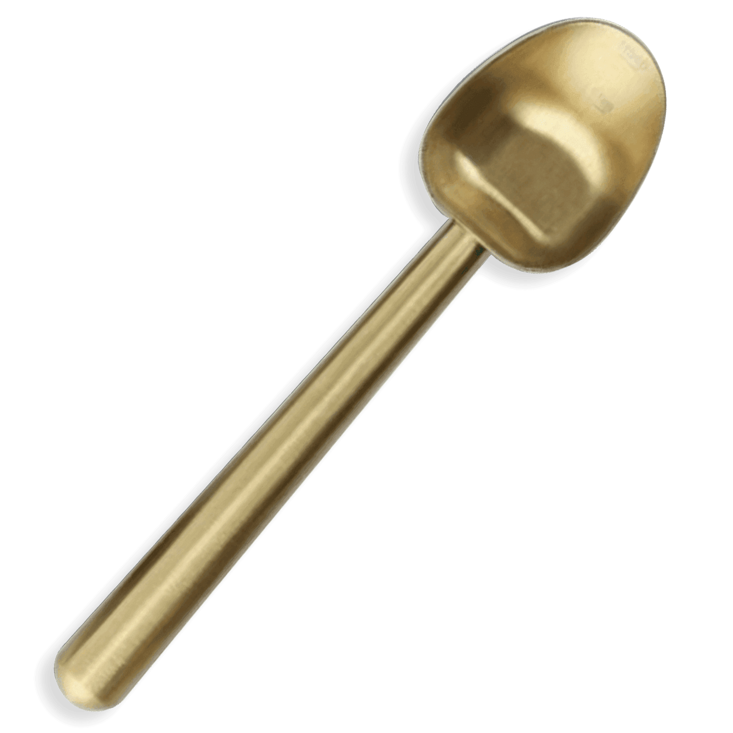 Everyday Coffee Measuring Scoop